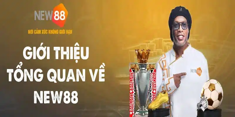 New88 - Khám Phá Nhà Cái Uy Tín Cá Cược Số 1 Việt Nam